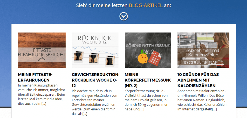 diät-tagebuch-blog