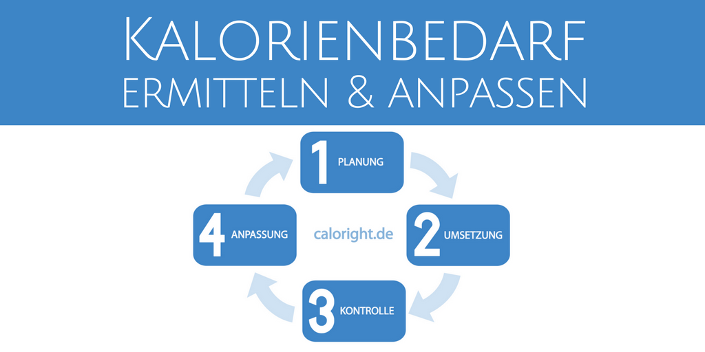 Kalorienbedarf ermitteln und anpassen [Anleitung ...