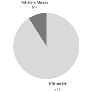 koerperfettanalyse-verhaeltnis